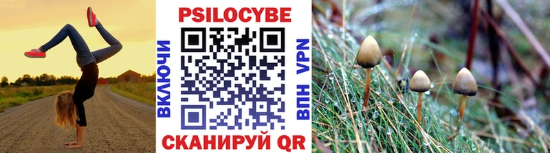 закладки  OMG ссылка  Псилоцибиновые грибы мухоморы  Белорецк 