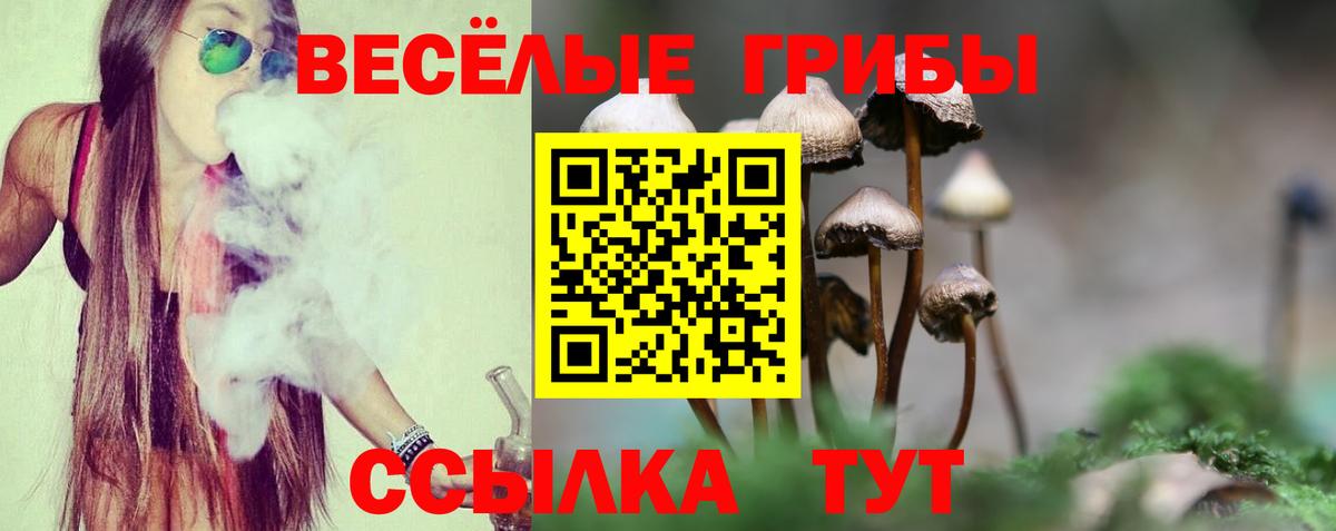 Псилоцибиновые грибы Psilocybe Белорецк